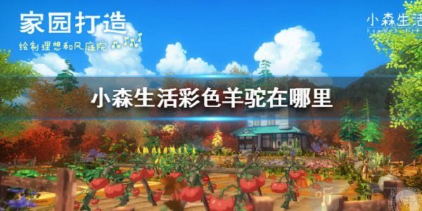 小森生活彩色羊驼有什么用 彩色羊驼位置介绍