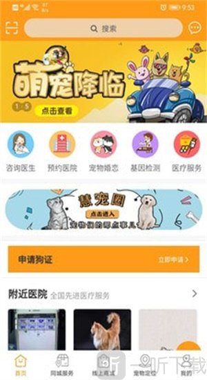 慧宠