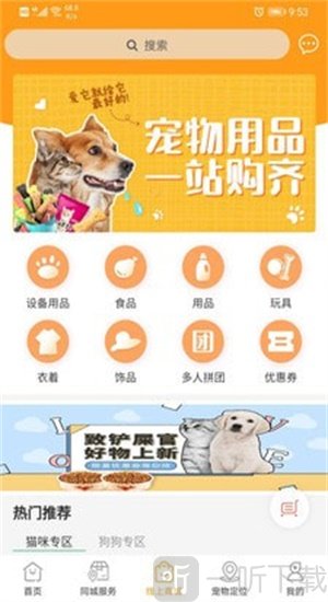 慧宠