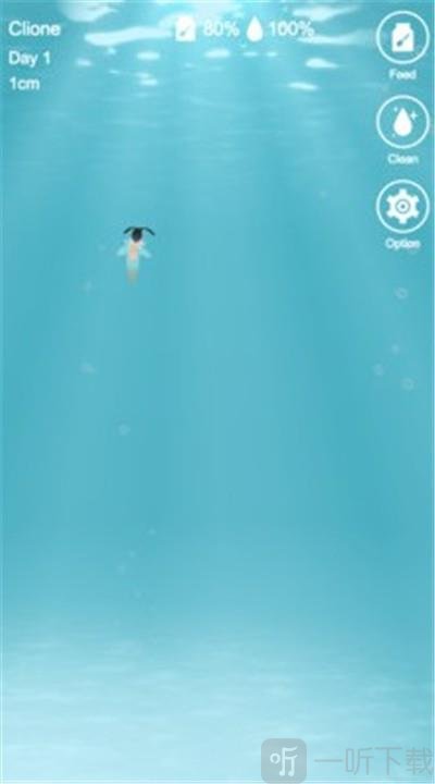 海天使生活
