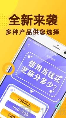 双双贷