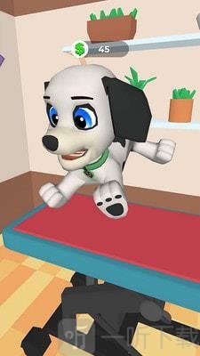 狗狗美容护理
