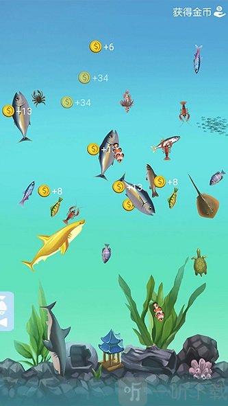 你能钓到什么鱼