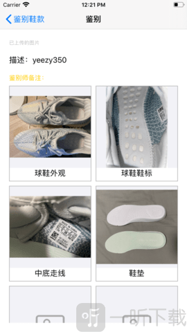 小鲤鱼鉴定