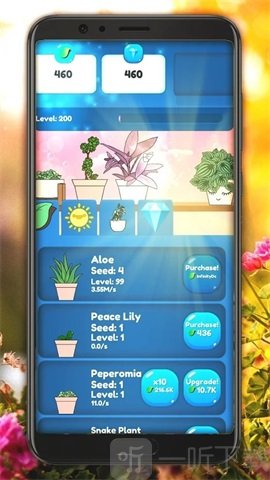 空闲植物花园