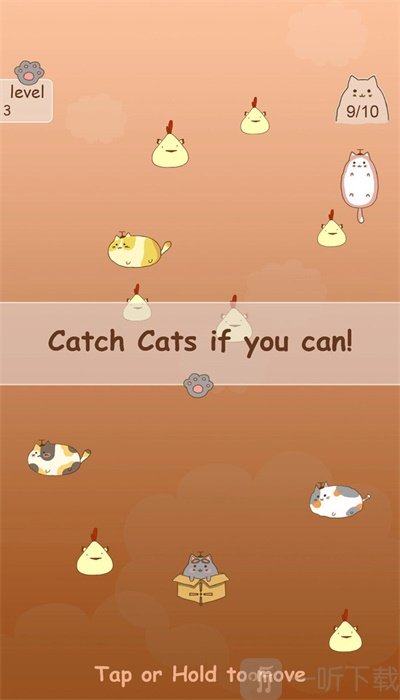 抓住流浪猫
