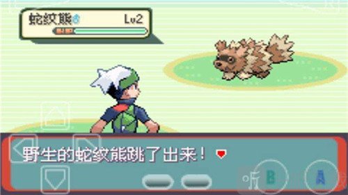 口袋妖怪最新版