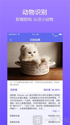 拍拍识图识字