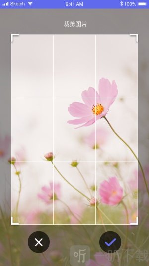 拍拍识图识字