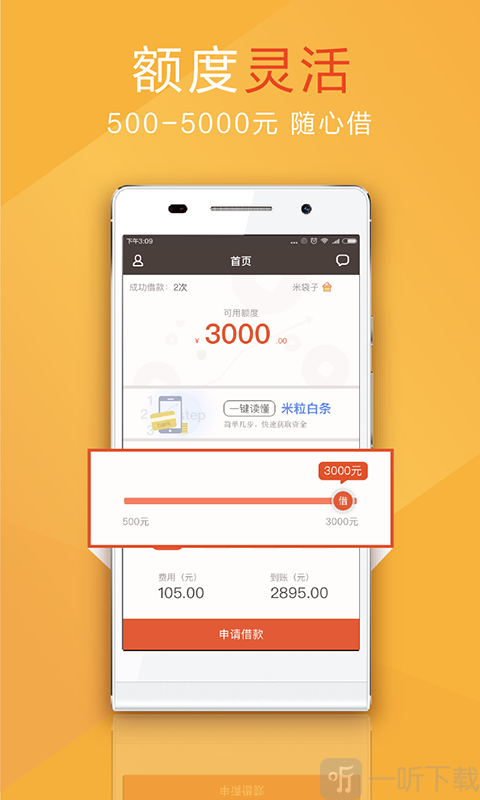 米粒白条