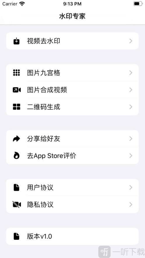 视频水印专家