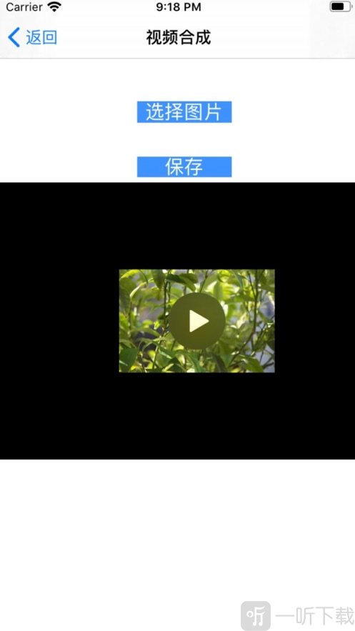 视频水印专家