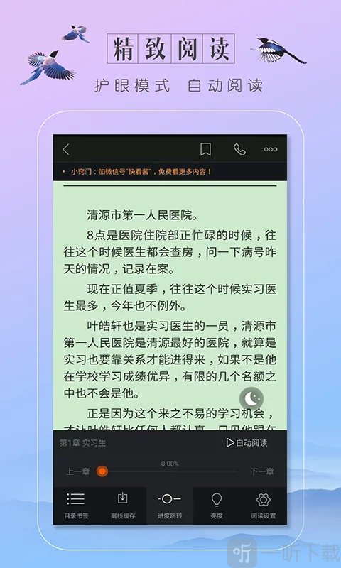 盛大小说