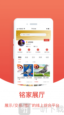 搜鸽天下