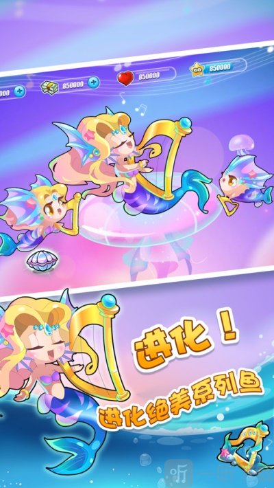 天天养鱼