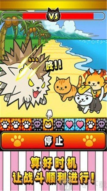 猫大战