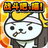 猫大战