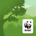WWF森林