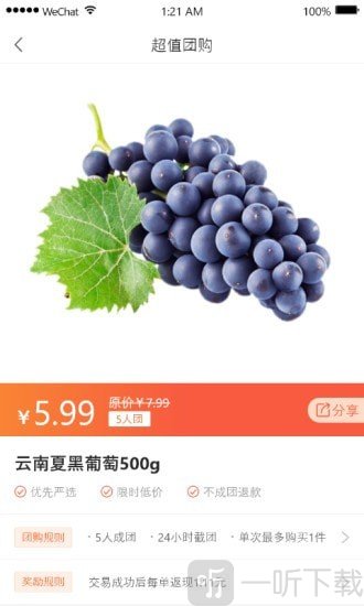 安鸽益家