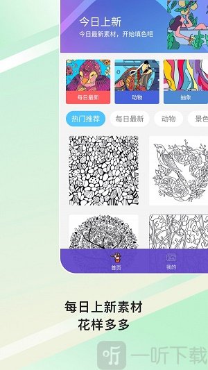 数字涂色