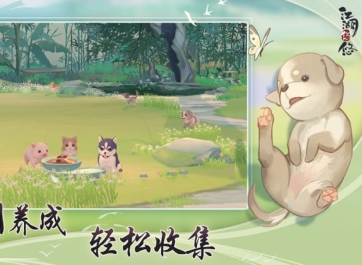 江湖悠悠鸽子汤有什么用 鸽子汤作用详解