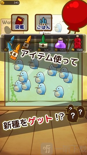 水蚤研究员
