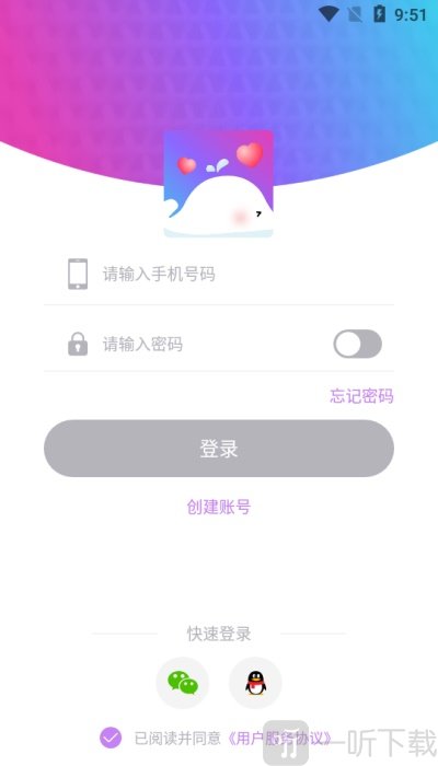 海豚約玩