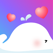 海豚約玩