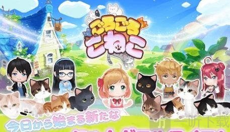 我的猫咪咖啡厅