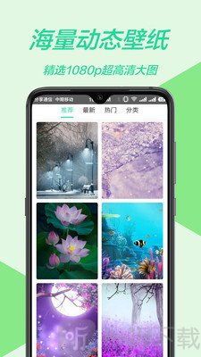 主题壁纸多多app