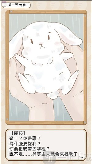 家有可爱兔
