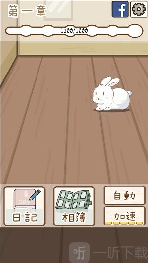 家有可爱兔