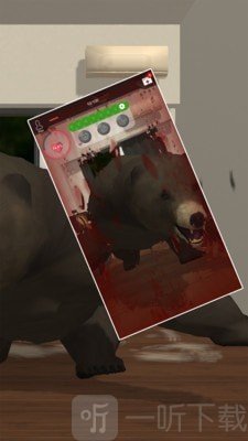 养只大灰熊