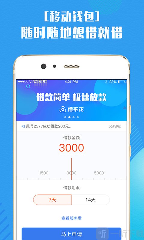 借来花