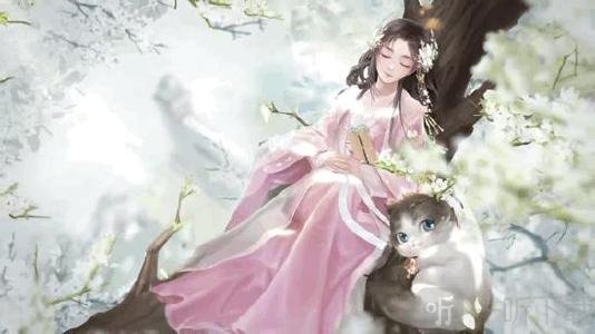 靈貓傳靈貓怎么得 靈貓獲取途徑介紹