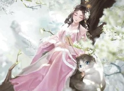 灵猫传灵猫怎么得 灵猫获取途径介绍