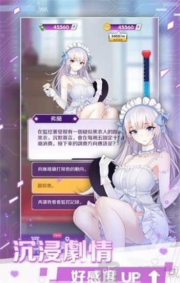 怪盗少女