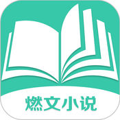 燃点小说
