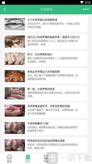 中国养猪网