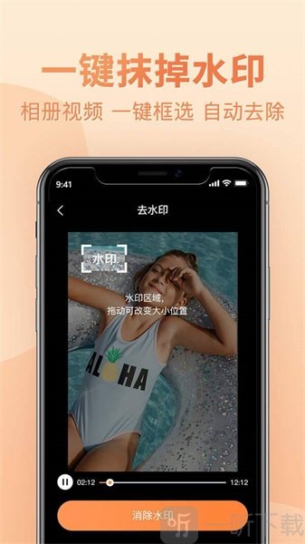 大白视频去水印