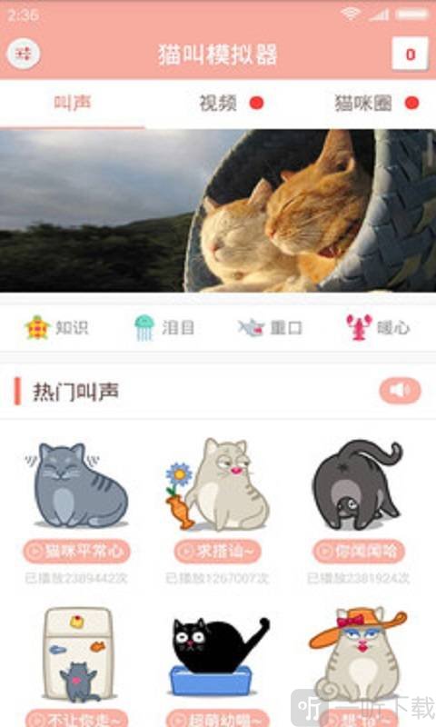 猫叫仿生器