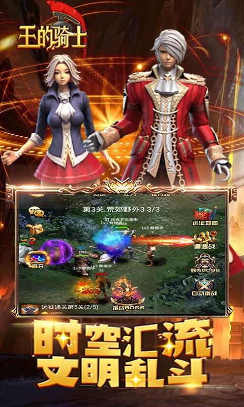 王的骑士