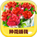开心花园游戏