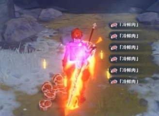 原神新鲜的肉在哪 冷鲜肉任务攻略