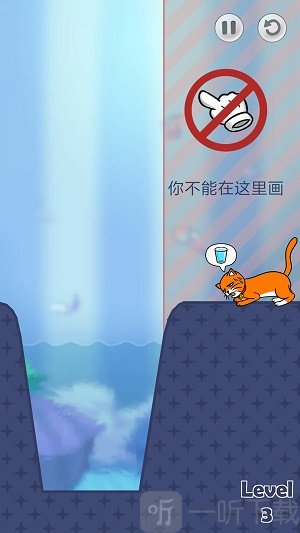 你好猫咪