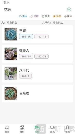 肉肉家