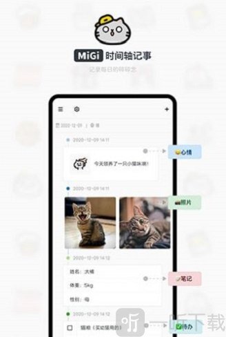 MiGi碎碎念
