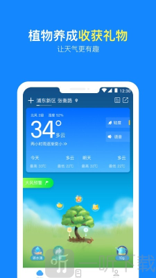 实况天气预报
