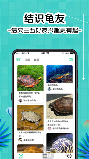 龟友圈