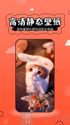 主题管家